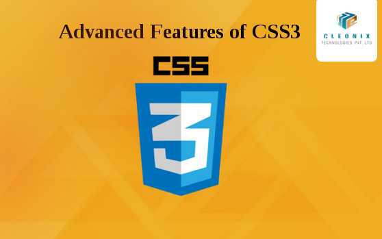 css3