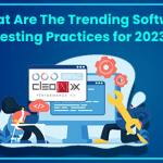 software testing